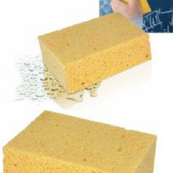 Massage Sponge with Pad